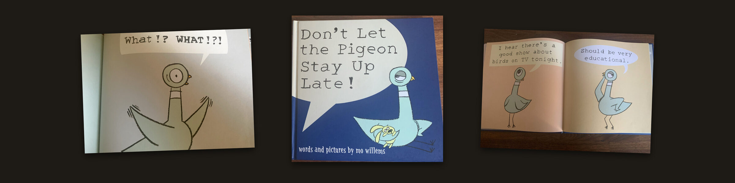 Don't Let the Pigeon Stay Up Late! by Mo Willems — Bookish Dad review