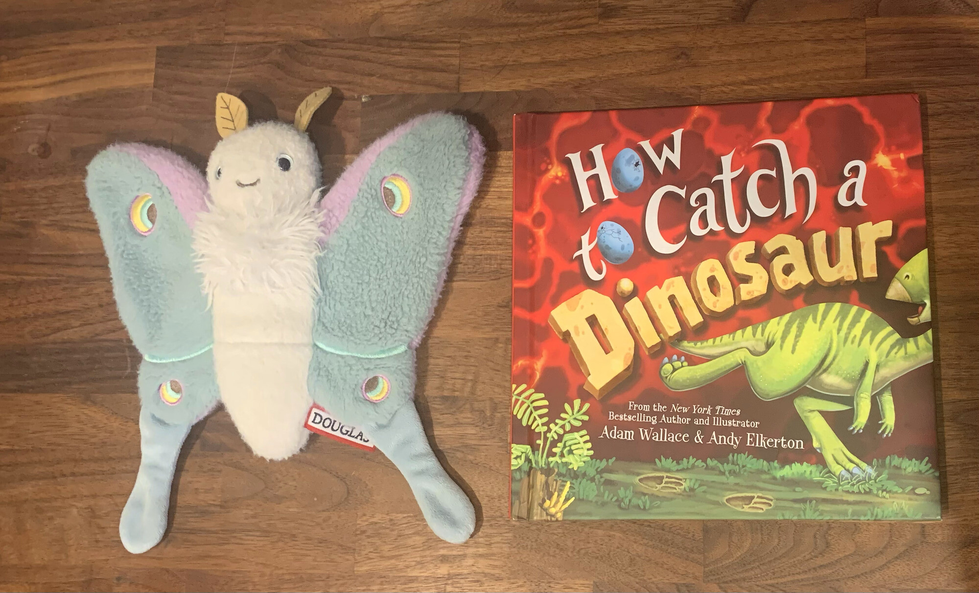 The cover of How to Catch a Dinosaur