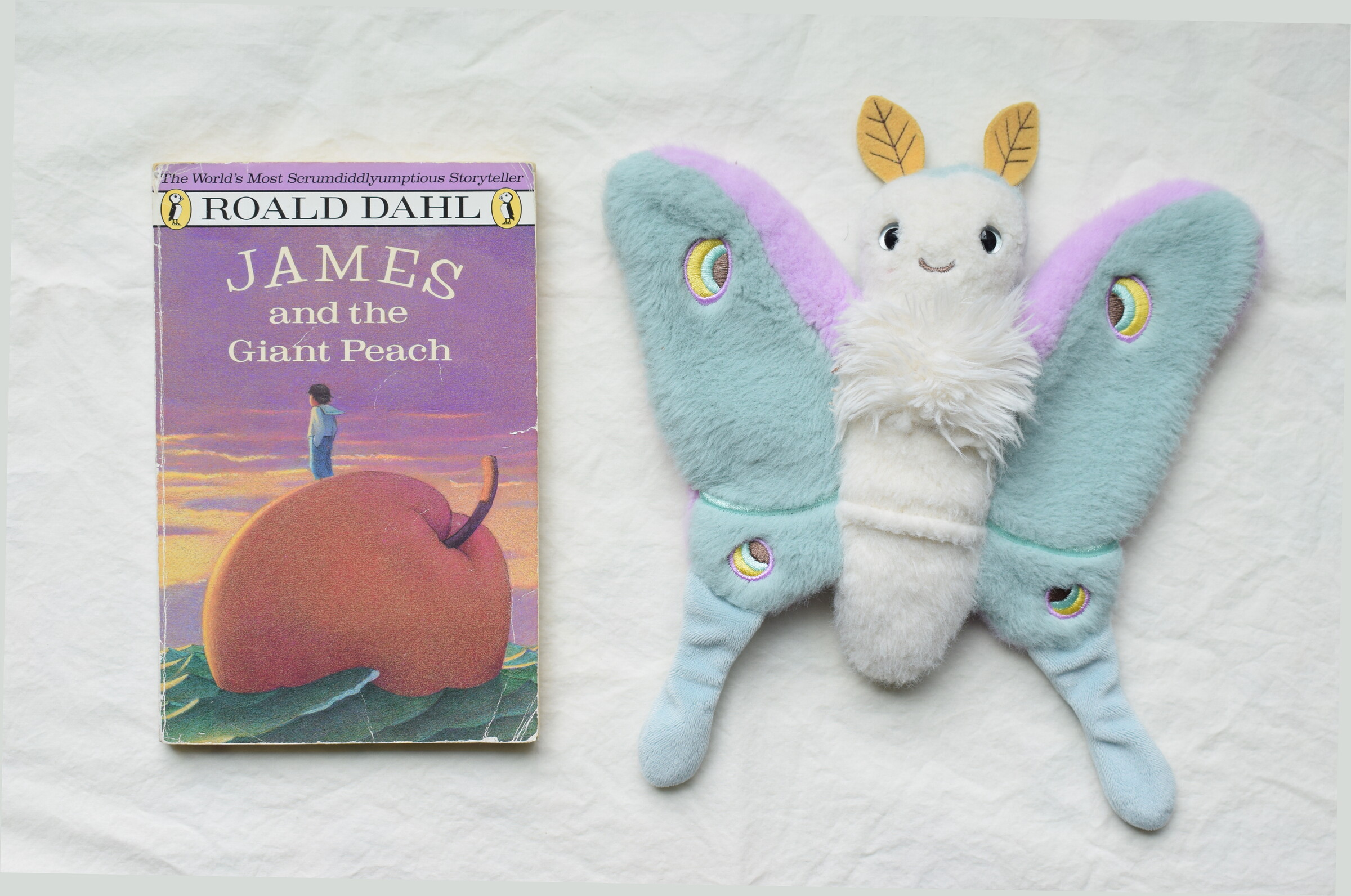 James and the Giant Peach next to Reference Moth, our resident size guide