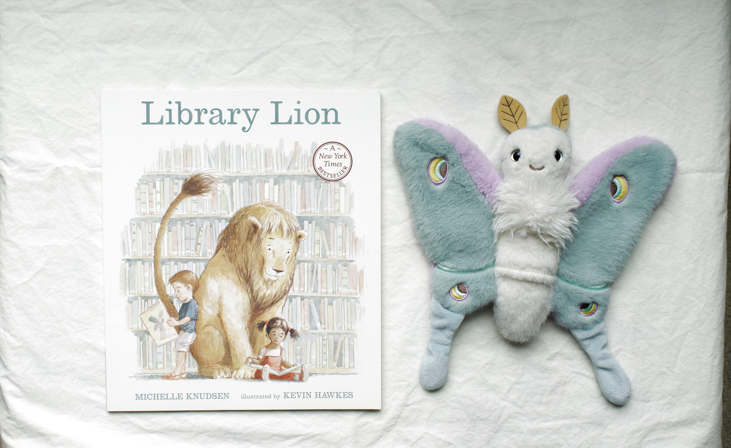 Library Lion next to Reference Moth, our resident size guide