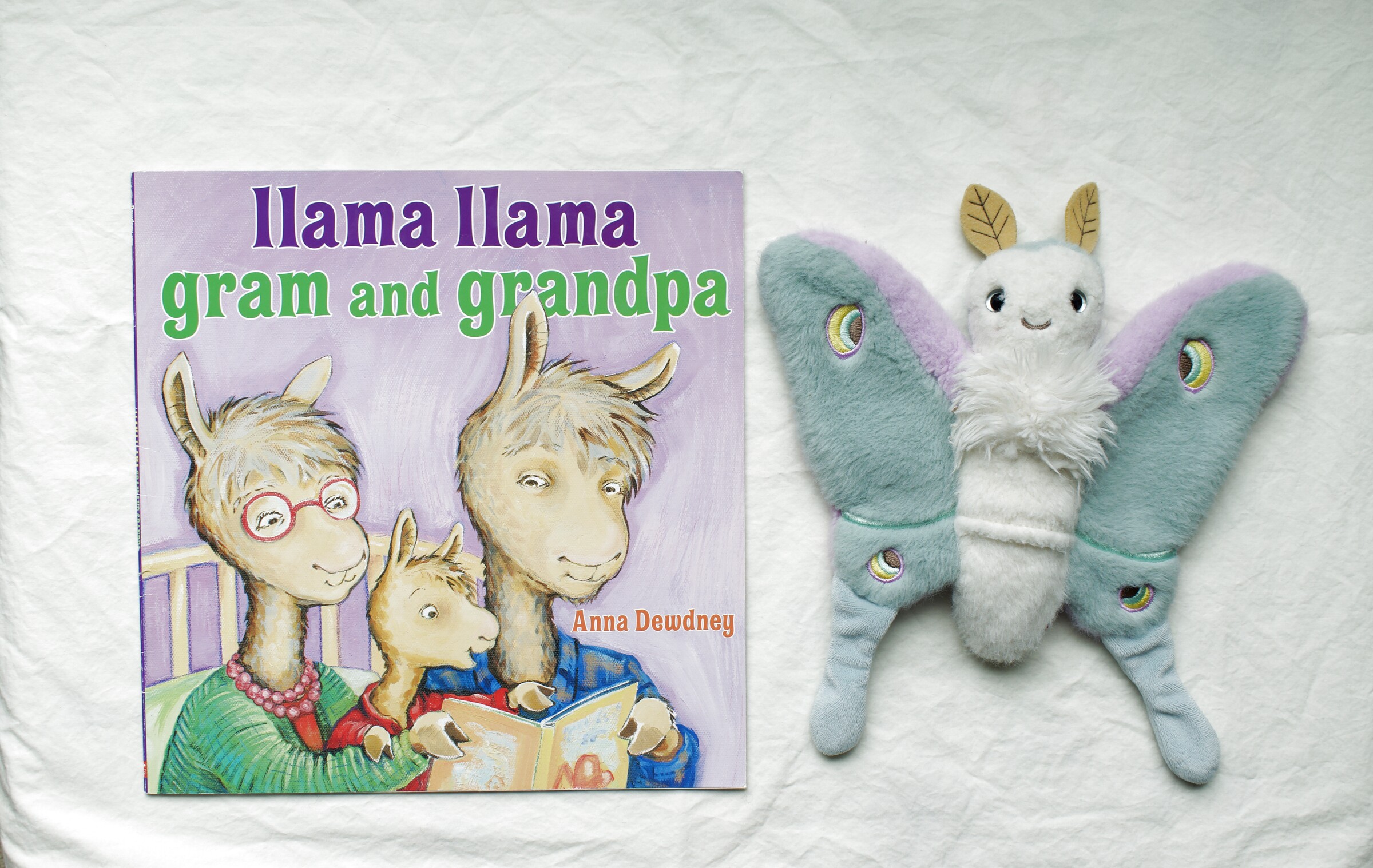 Llama Llama Gram and Grandpa next to Reference Moth, our resident size guide