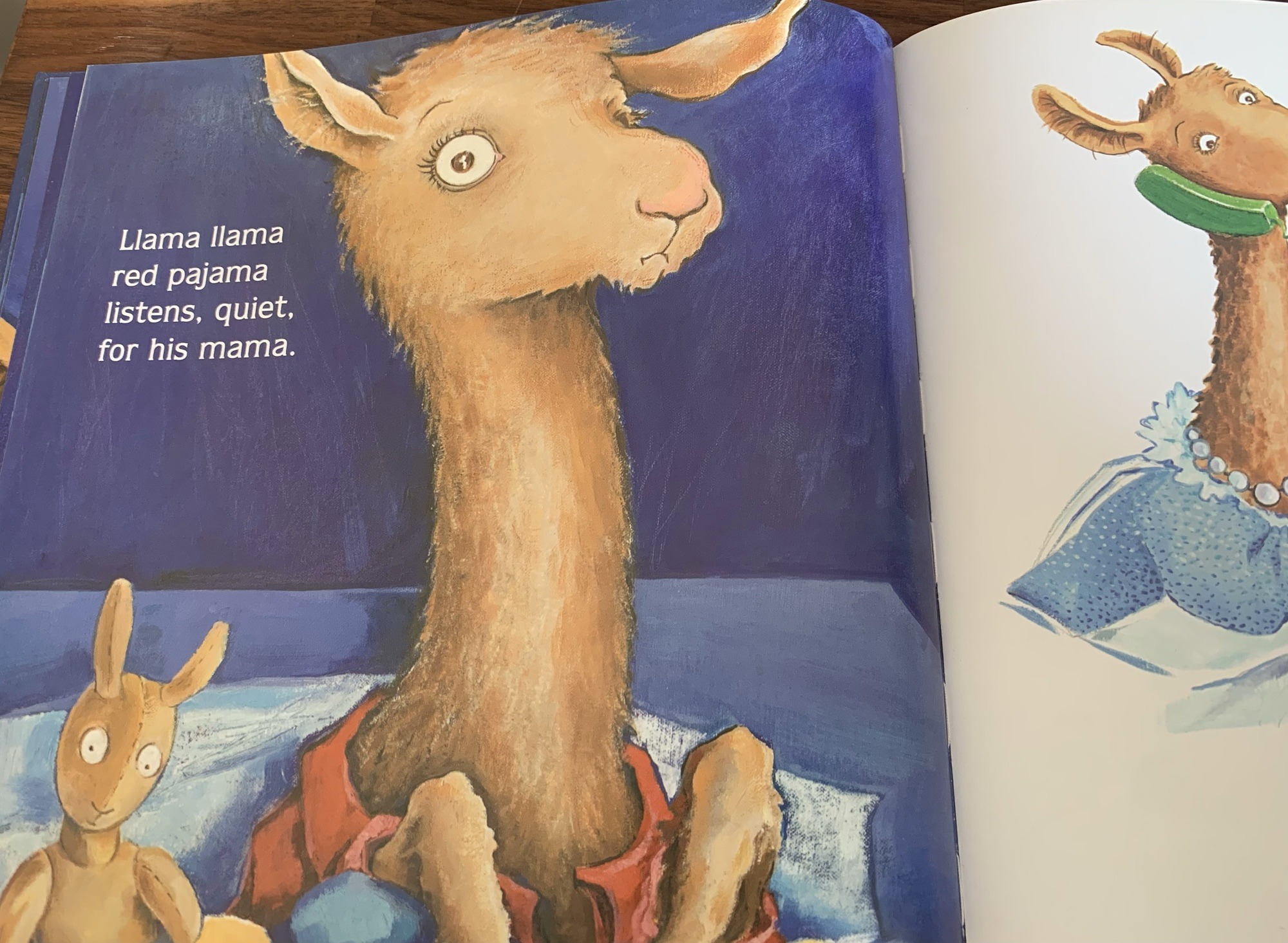 A page from inside Llama Llama Red Pajama
