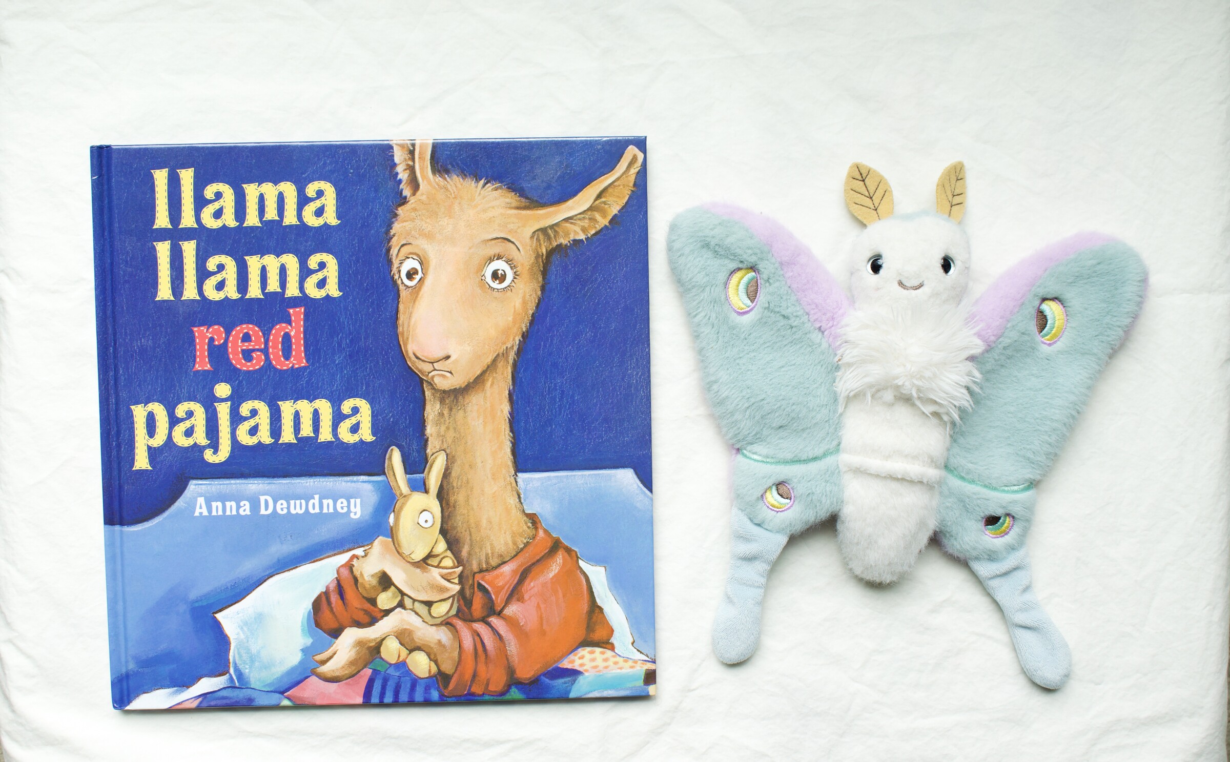 Llama Llama Red Pajama next to Reference Moth, our resident size guide