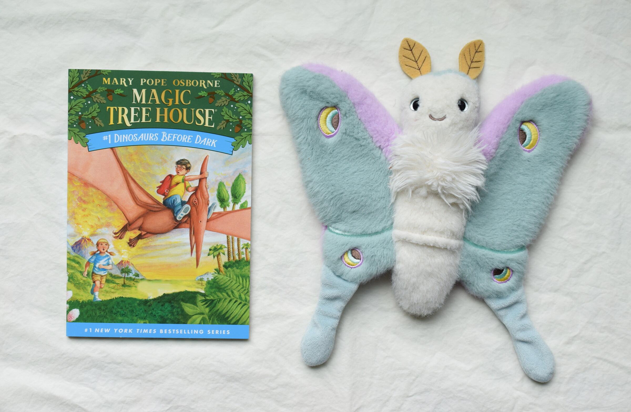 Magic Tree House #1 next to Reference Moth, our resident size guide