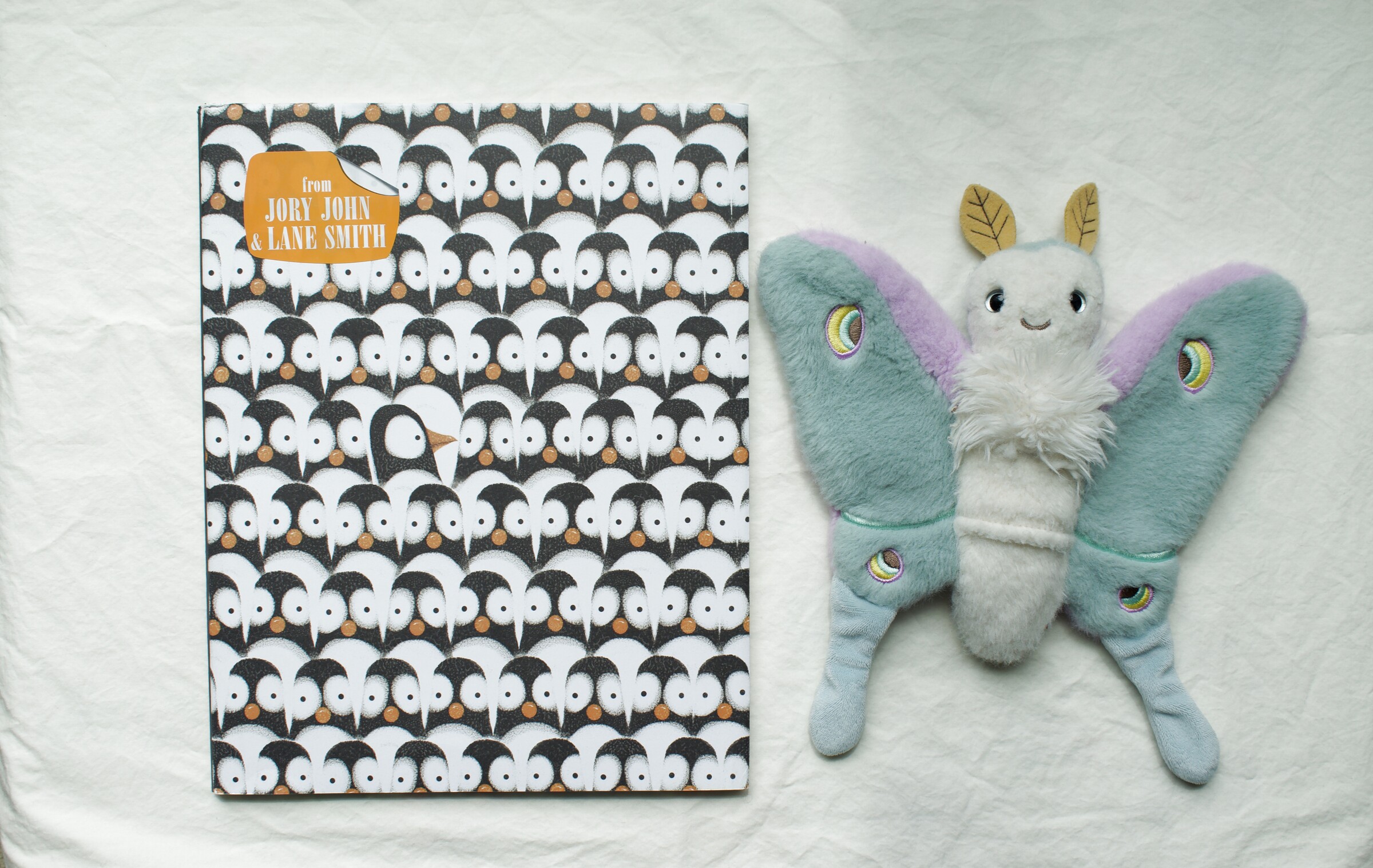 Penguin Problems next to Reference Moth, our resident size guide