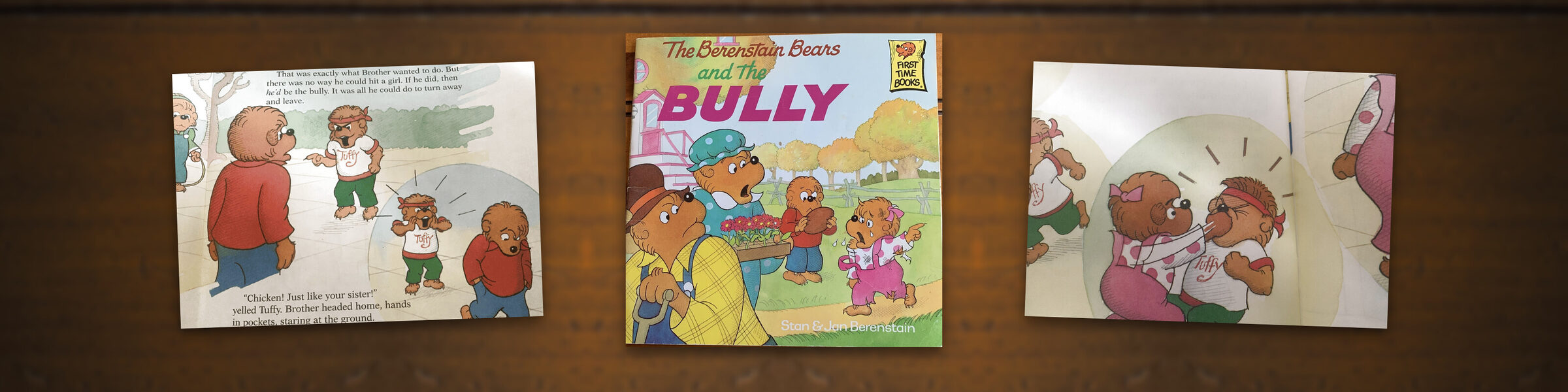 The Berenstain Bears and the Bully by Stan & Jan Berenstain — Bookish Dad review
