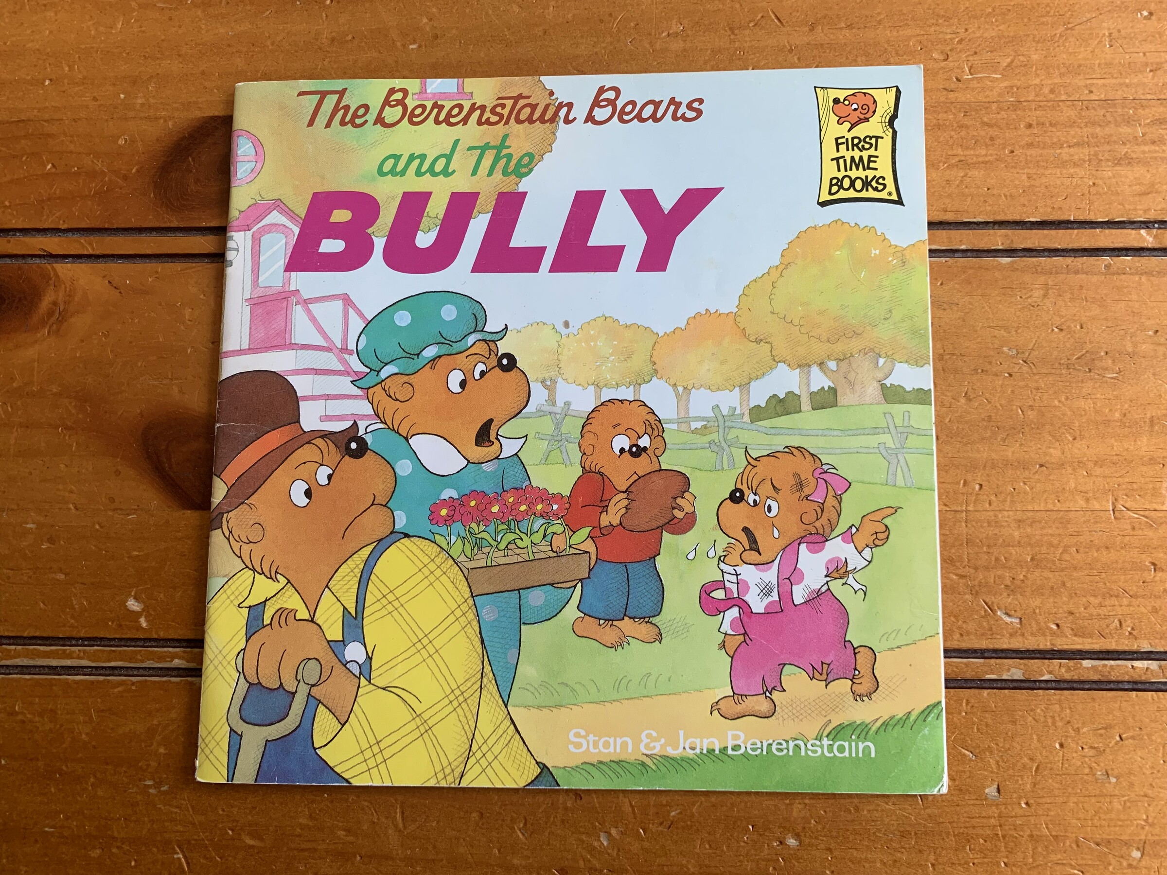 The cover of The Berenstain Bears and the Bully