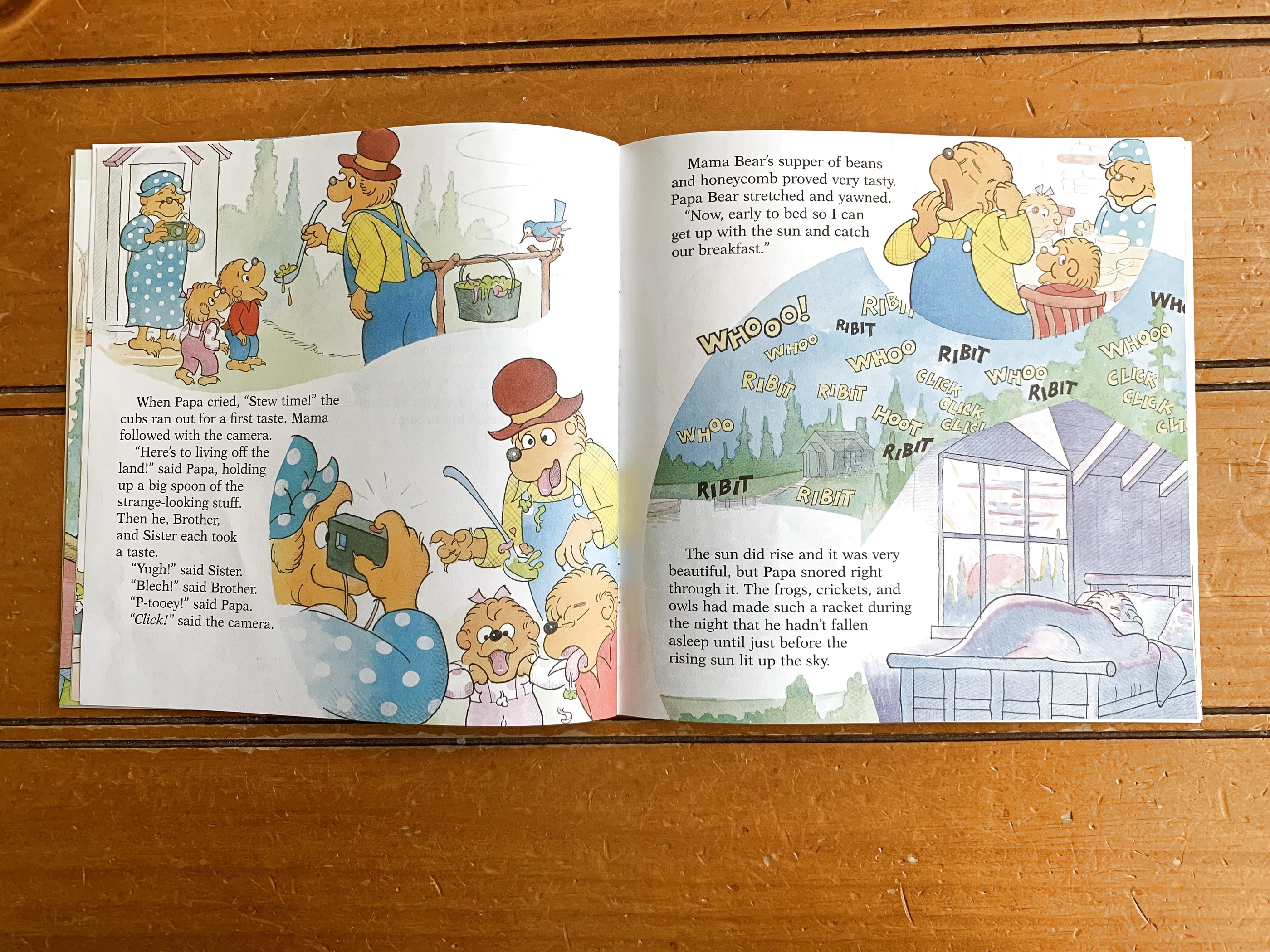 The Berenstain Bears and Too Much Vacation — favorite page spread