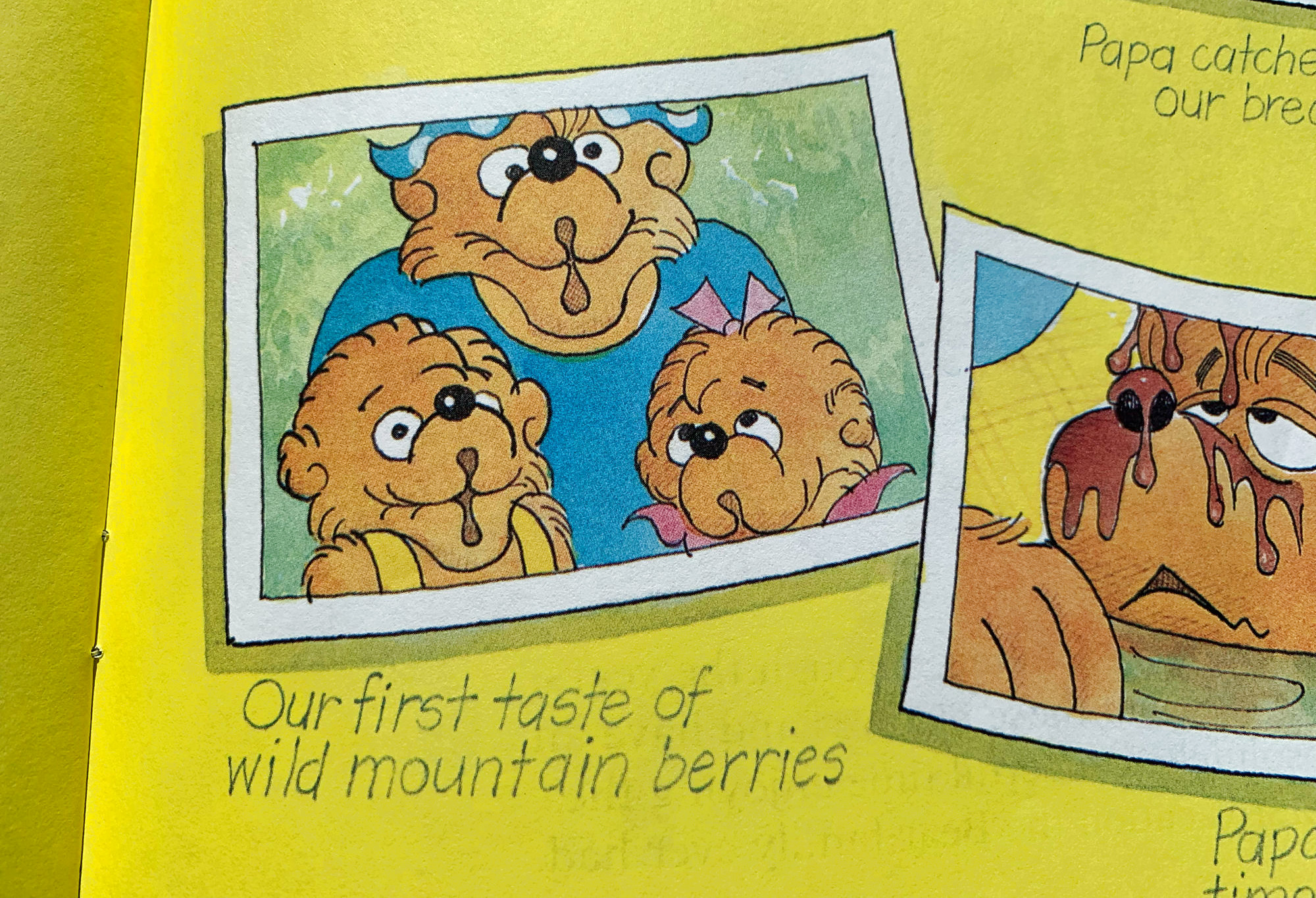 Another page from inside The Berenstain Bears and Too Much Vacation