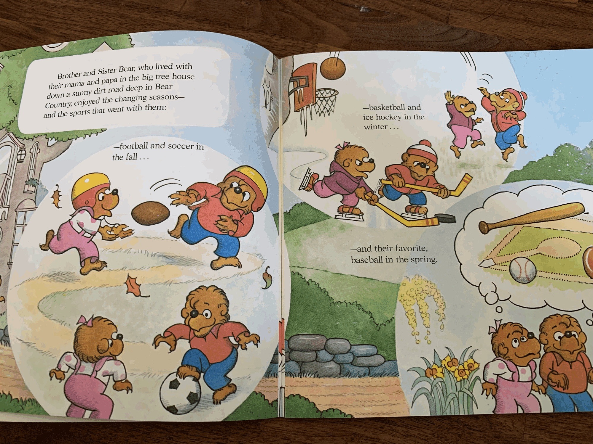 The Berenstain Bears Go Out for the Team — favorite page spread