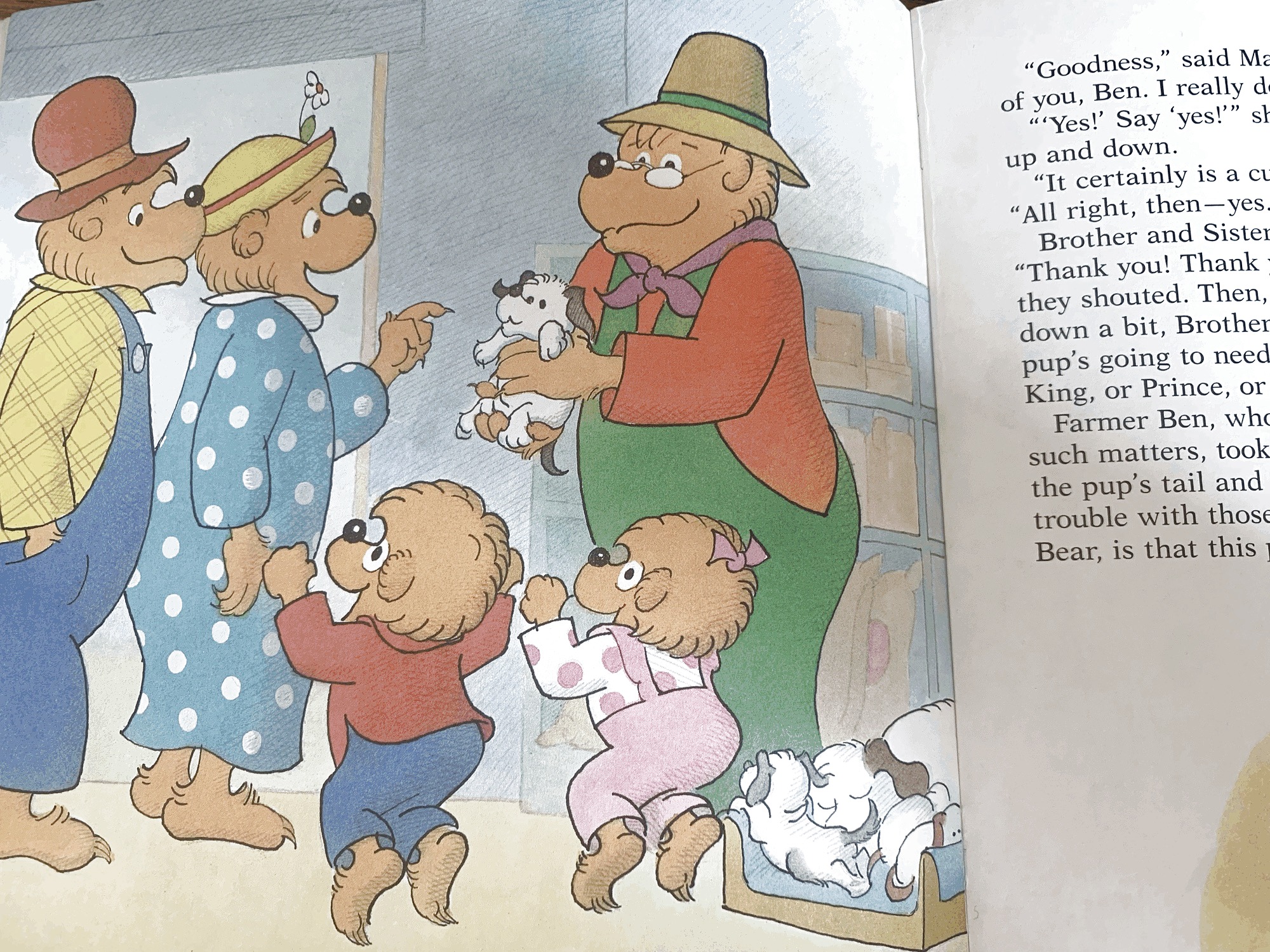A page from inside The Berenstain Bears' Trouble with Pets