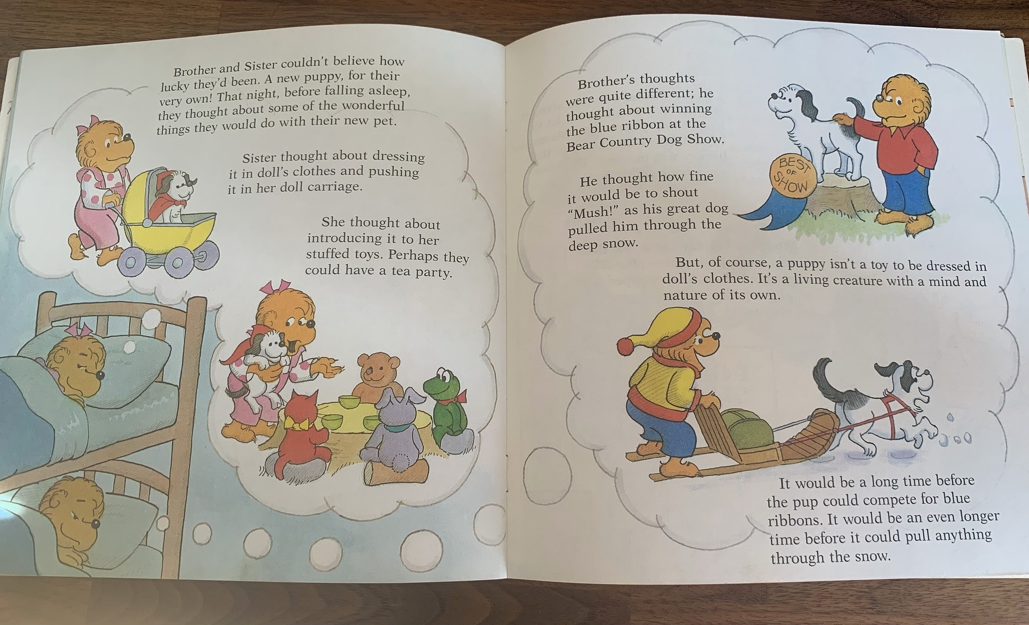 Another page from inside The Berenstain Bears' Trouble with Pets