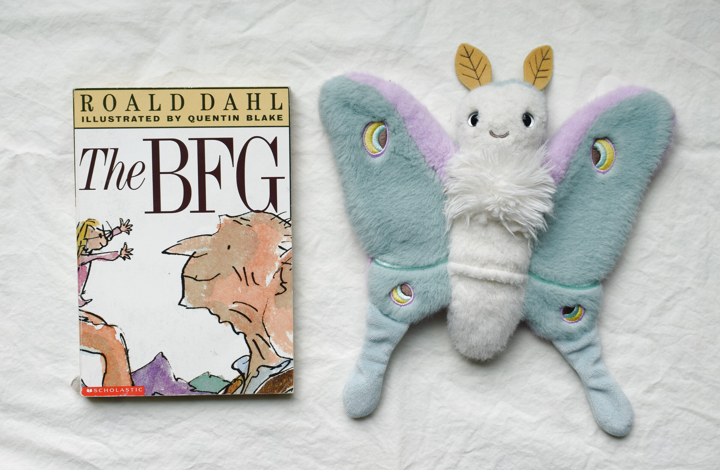 The BFG next to Reference Moth, our resident size guide