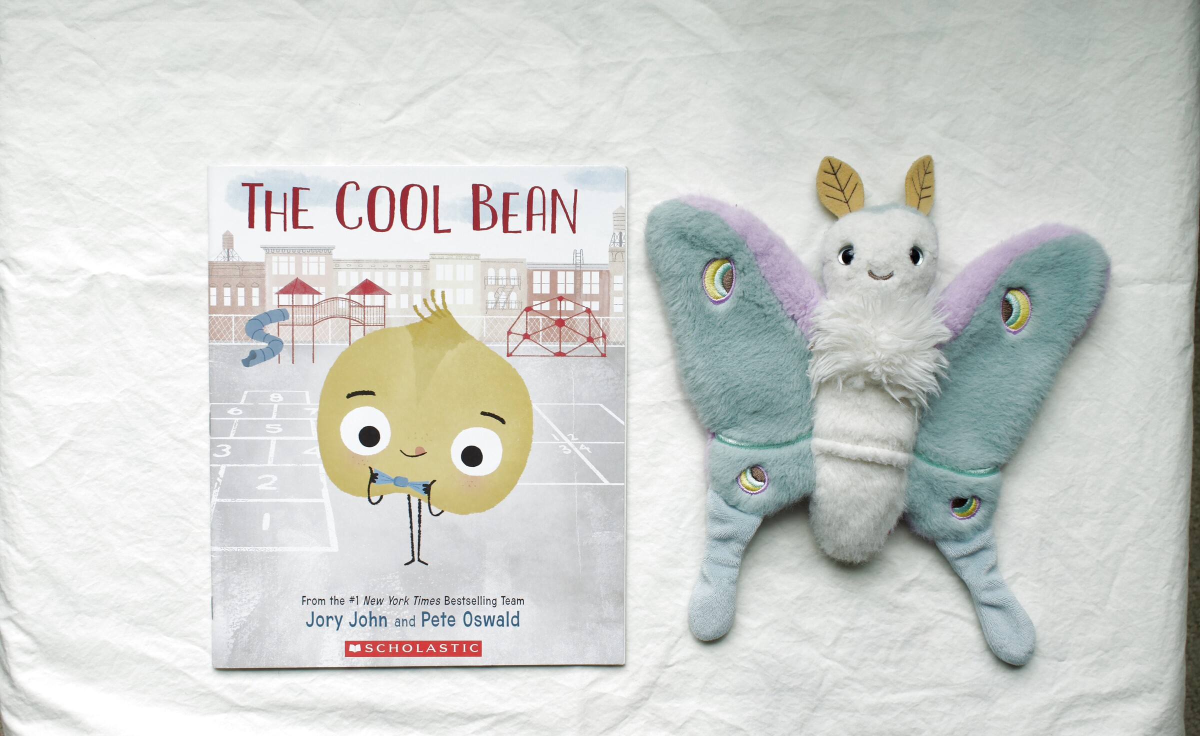 The Cool Bean next to Reference Moth, our resident size guide