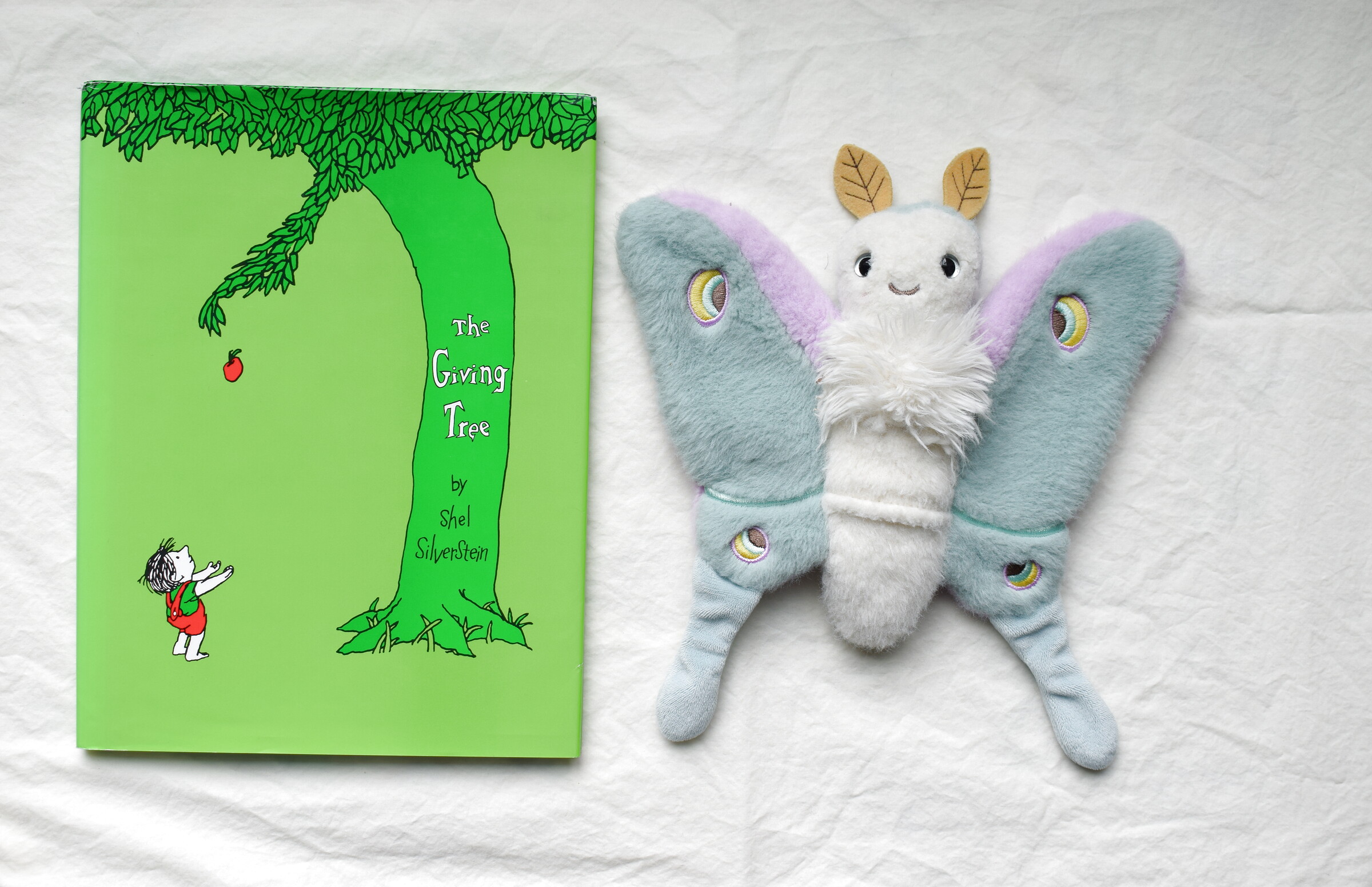 The Giving Tree next to Reference Moth, our resident size guide