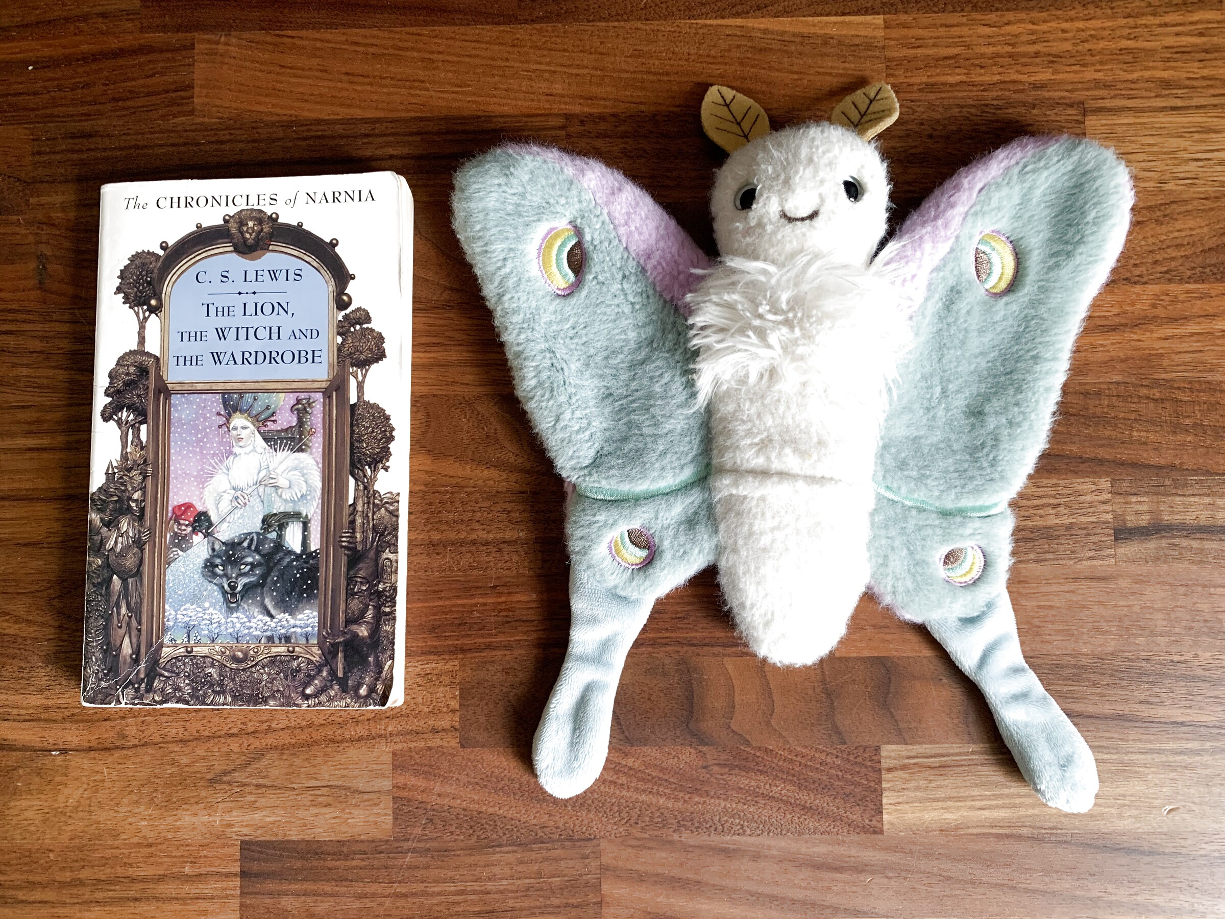 The Lion, the Witch and the Wardrobe next to Reference Moth, our resident size guide