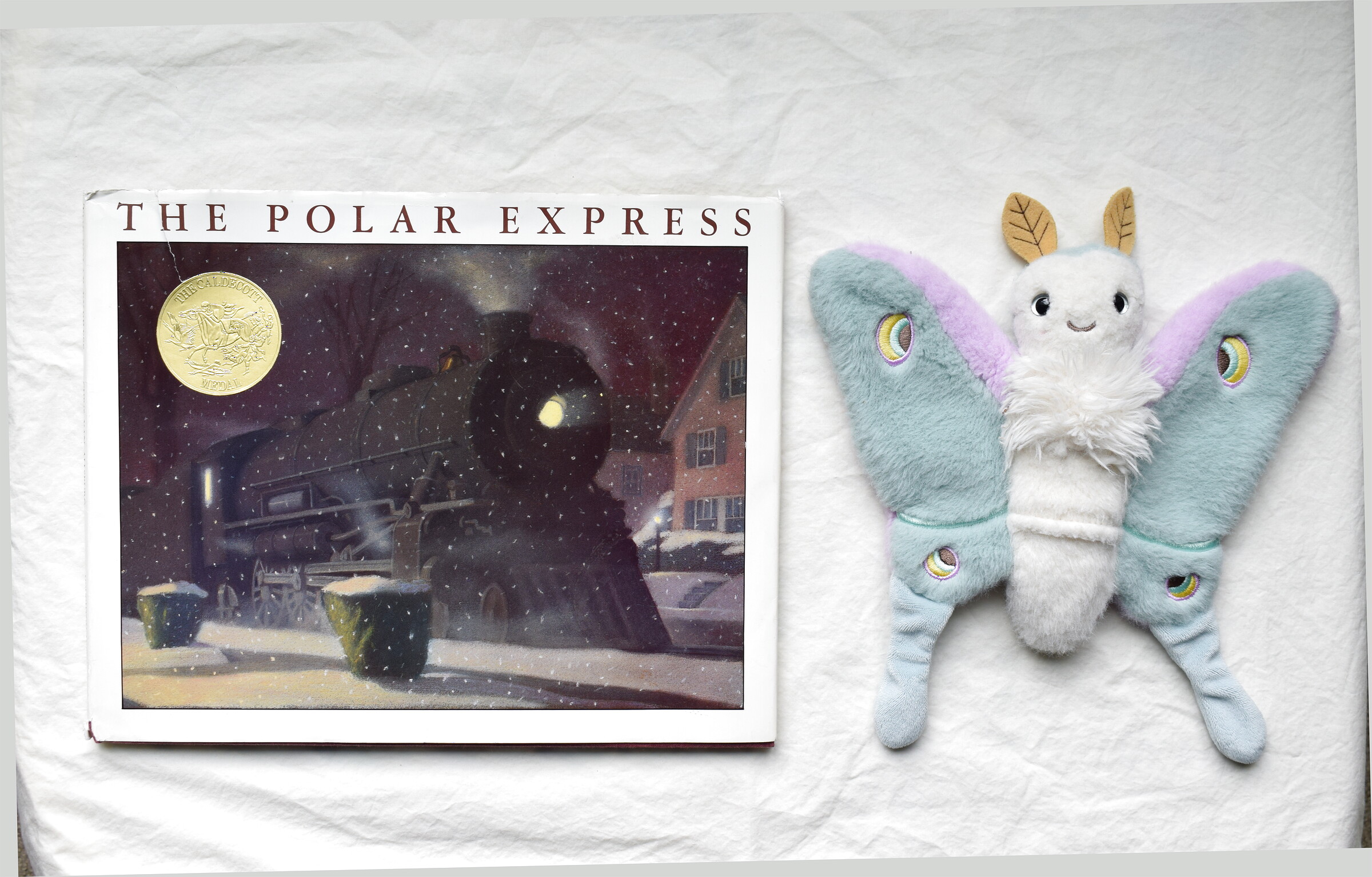 The Polar Express next to Reference Moth, our resident size guide