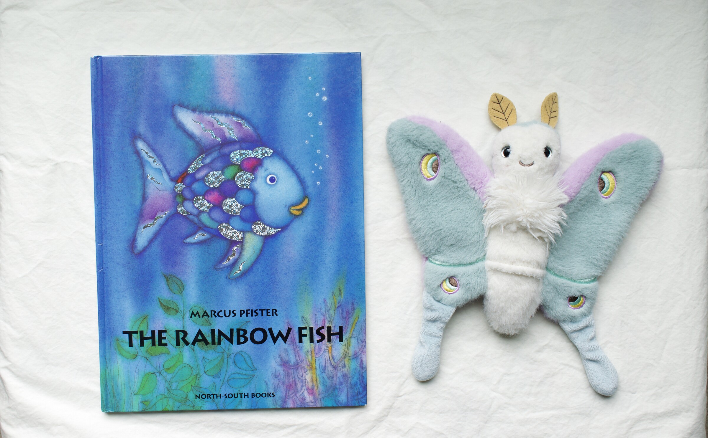 The Rainbow Fish next to Reference Moth, our resident size guide