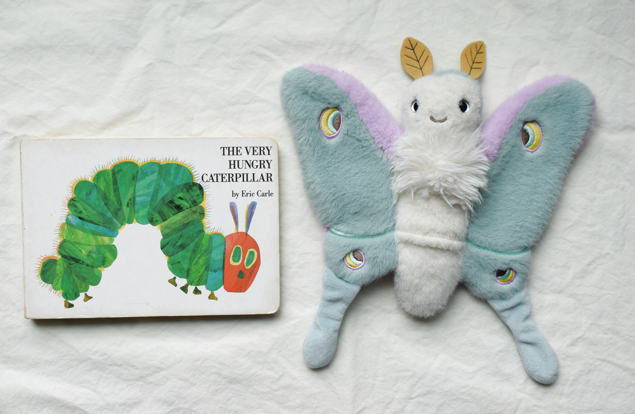 The Very Hungry Caterpillar next to Reference Moth, our resident size guide