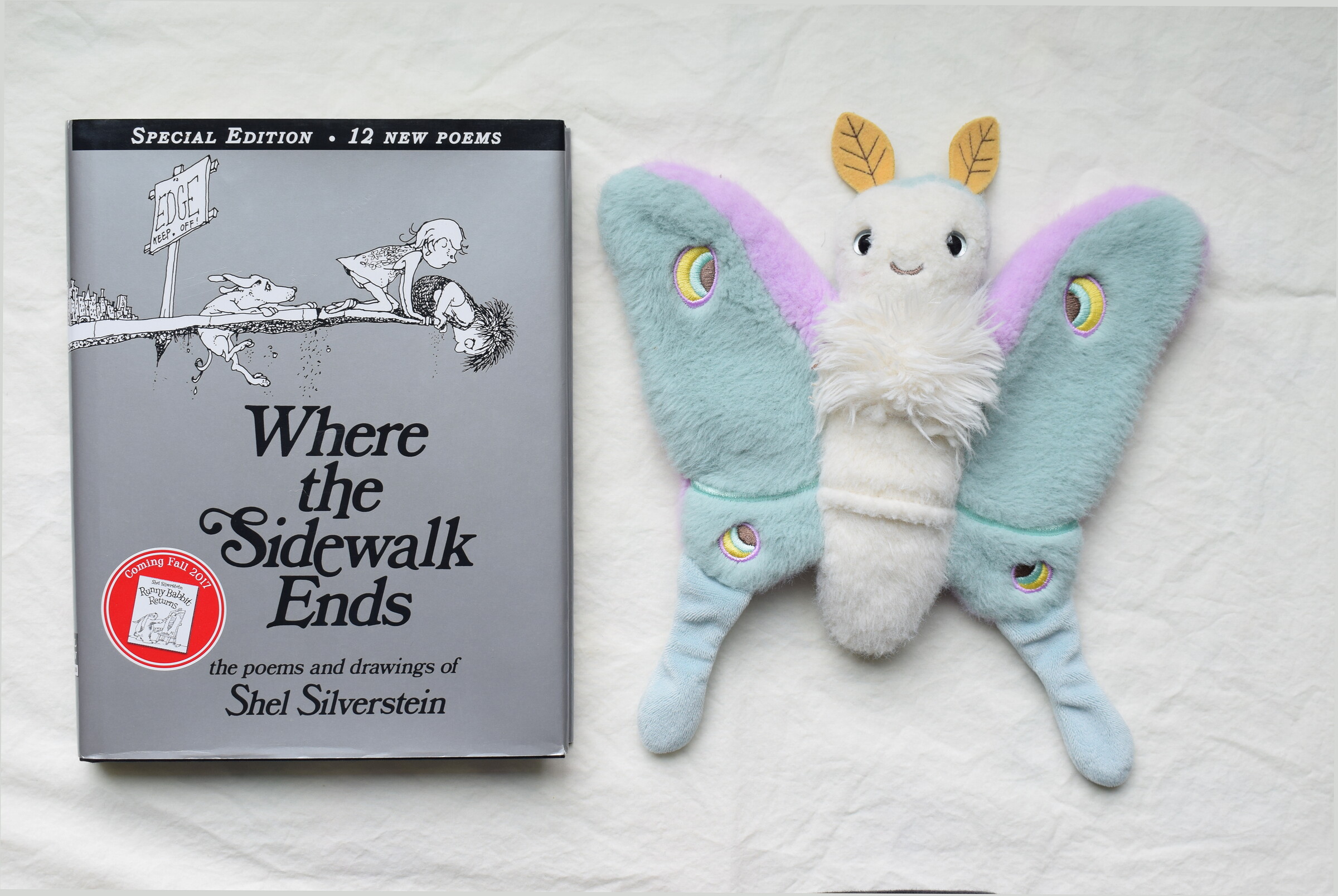 Where the Sidewalk Ends next to Reference Moth, our resident size guide